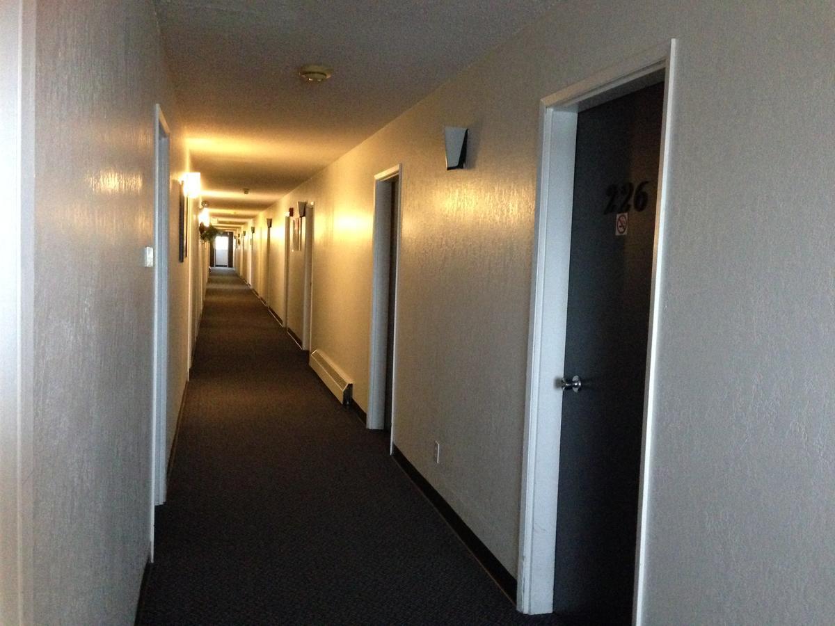 Stettler Plains Motor Inn מראה חיצוני תמונה