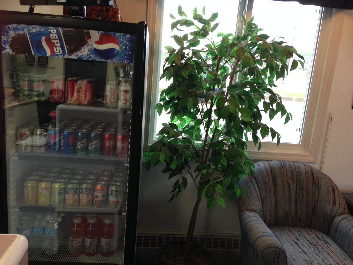 Stettler Plains Motor Inn מראה חיצוני תמונה